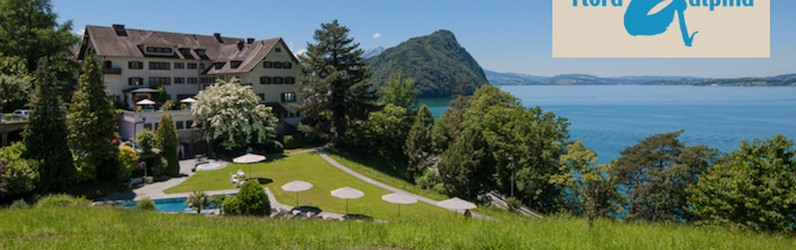 Mitarbeitende Service-/Frühstückservice (a) 50 - 60%