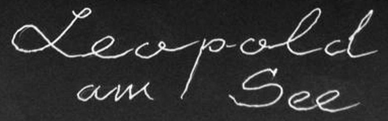 Küchenchef m/w/d