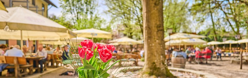 Restaurantfachmann / Restaurantfachfrau (m/w/d)