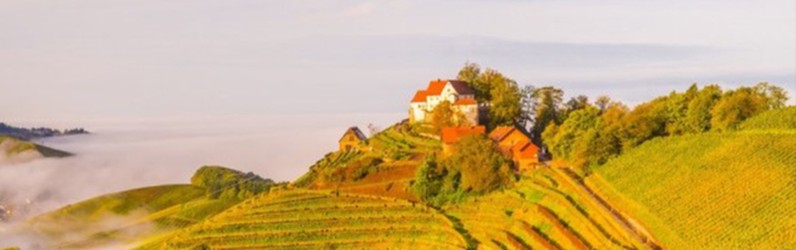 Spüler:in (m/w/d) im Schloss Staufenberg