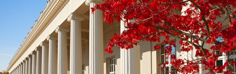 Junior Personaldisponent m/w/d