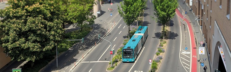 Koch/Köchin (m/w/d)