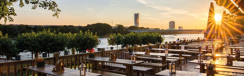 Junior Sous Chef RheinAlm (m/w/d)