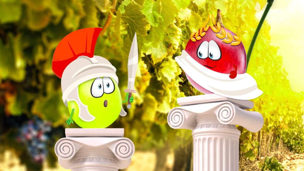 iStockphoto; Fotolia.com: paketesama, guy, Tim UR Die Weintraube im Exklusiv-Interview