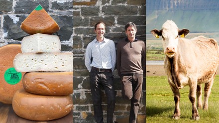 Alles Käse Alles Käse