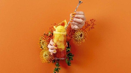 Cartedor Orangensorbet Cartedor Orangensorbet