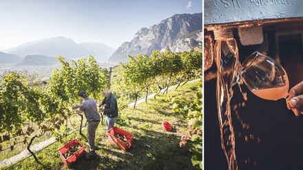 Vino Santo Vino Santo aus dem Trentino
