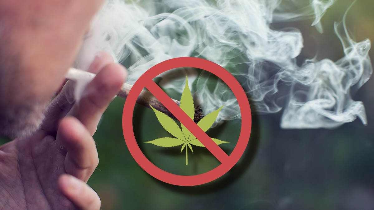 Fotos: Aleksej/stock.adobe.com, marina_ua/stock.adobe.com Ein Joint im Biergarten kommt nicht in die Tüte