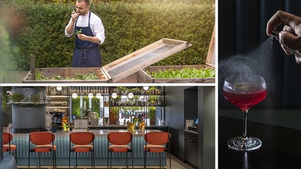 Andrea Barbano Andrea Barbano serviert im Flamel des Luganodante-Hotels frische, lokal angebaute Produkte – auch aus den eigenen Urban-Farming-Gärten. Inspiriert von Nicholas Flamel werden sogar für die hauseigene Mixology-Bar Spirituosen selbst destilliert.