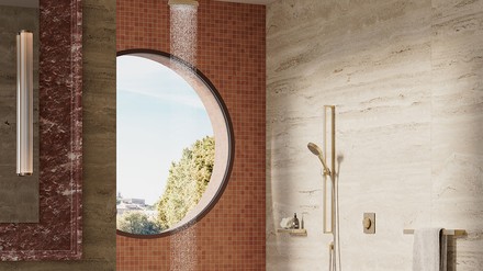 Hansgrohe wandmontierte Kopfbrause Ambience von Hansgrohe