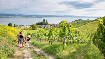 Weinberge Familie macht eine Wanderung durch die Weinberge