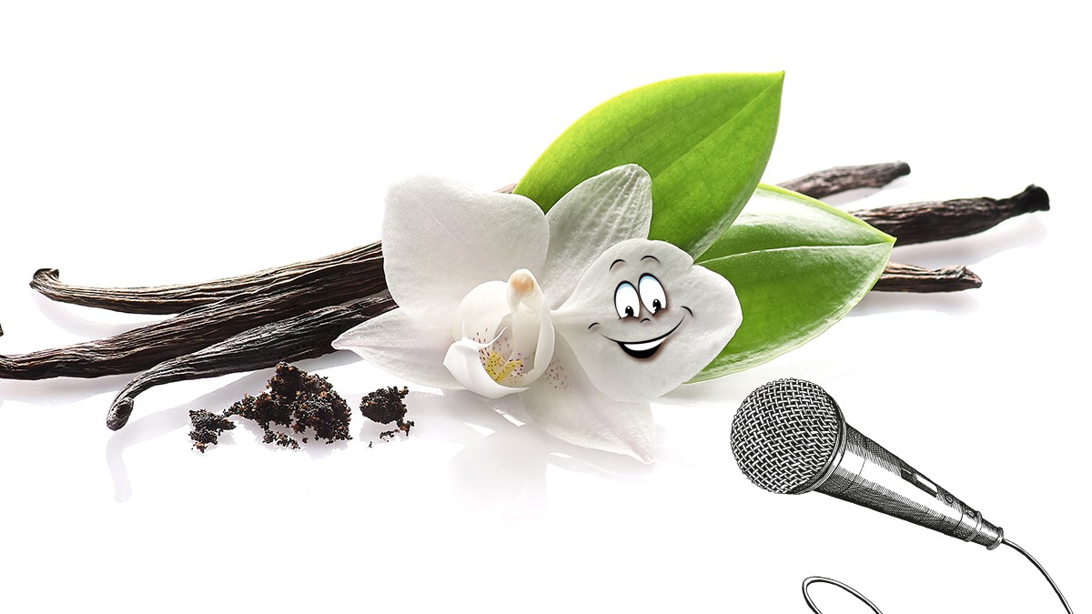 Foto: Dionisvera/AdobeStock, hanaschwarz und mecaleha/Getty-Images Die Vanilleschote im Exklusiv-Interview