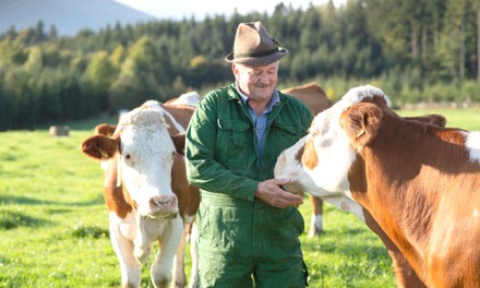 Von wegen Milchbubi