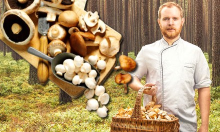 Felix Schneider