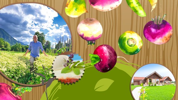 Willkommen im Landgasthof 2.0