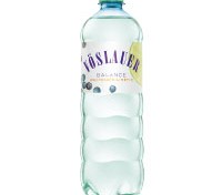 Gin Tonic ohne