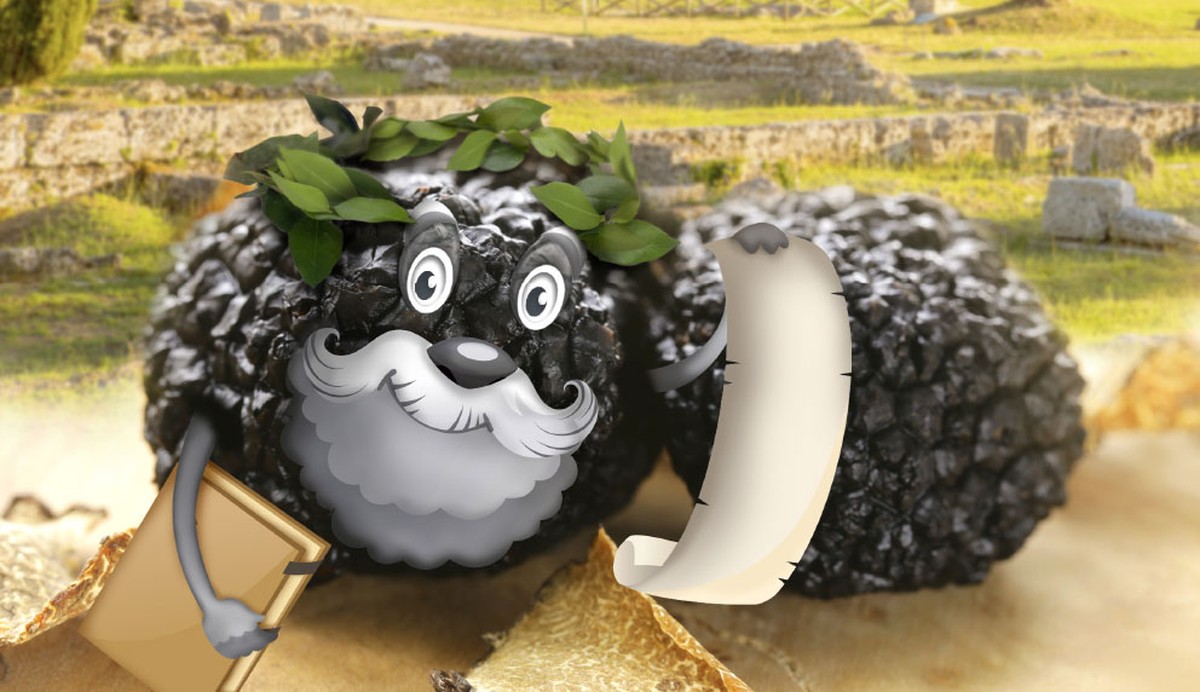 Fotos: iStockphoto
die Trüffel