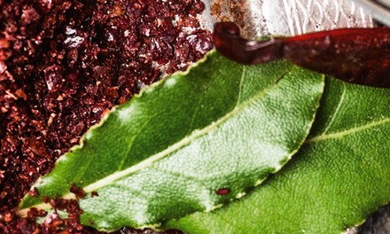 Wacholderblatt Wacholderblatt