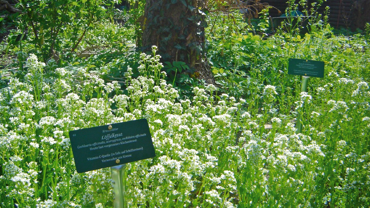 Foto: Café Botanico Gastro Gardening