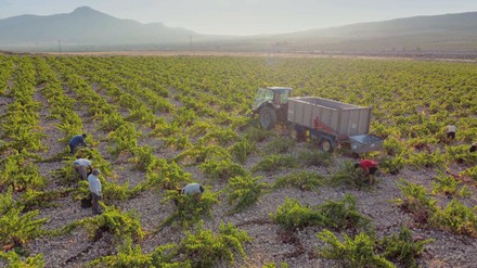 Foto: Bodegas Viña Elena Foto: Bodegas Viña Elena