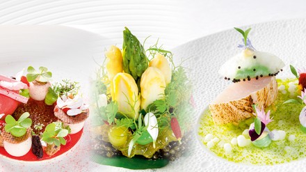 Zauberei auf dem Teller Zauberei auf dem Teller