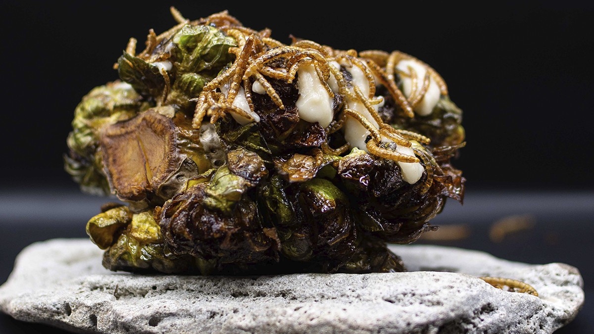 Foto: Damian Tauchert Das große Krabbeln