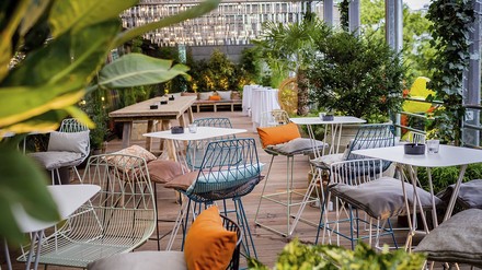 Kübelpflanzen Kübelpflanzen schaffen im Winter ein Wohlfühl-Flair auf der Terrasse.