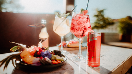 Hilton Vienna Park Summer Club