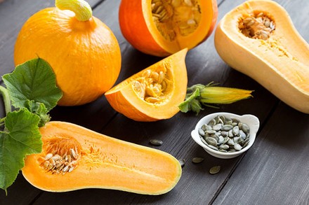 Wissenswertes über den Speisekürbis