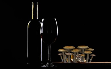 Ein Tisch mit Pilzen und einer Flasche Wein