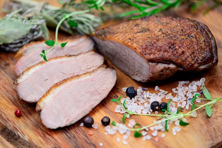 Erstmals brachte Christoph Kolumbus die Barbarie Ente