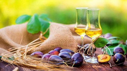 Zwei Gläser mit Obstbrand auf einem Tisch mit Pflaumen, Kräutern und Weizen