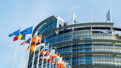 EU-pARLAMENT IN sTRASSBURG
