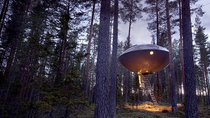 Ein Baumhaus, das wie ein Ufo aussieht