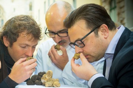 Drei Männer riechen an Trüffel