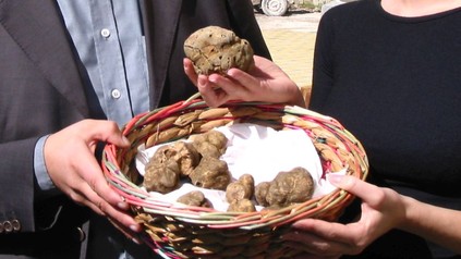 Trüffel in Korb