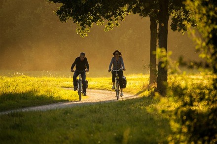 Zwei Fahrradfahrer auf Radweg in Natur