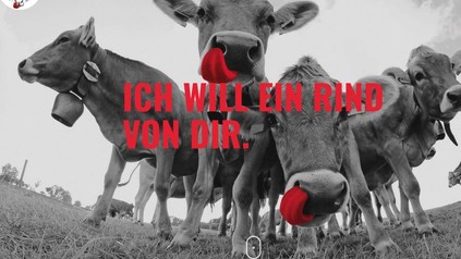 Ich will ein Rind von dir Werbespruch
