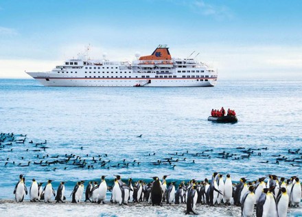 Die MS Hanseatic in der Antarktis vor einem Strand mit Pinguinen