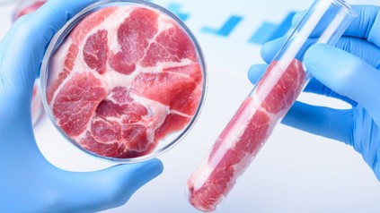 Fleisch in Reagenzglas und Petrischale