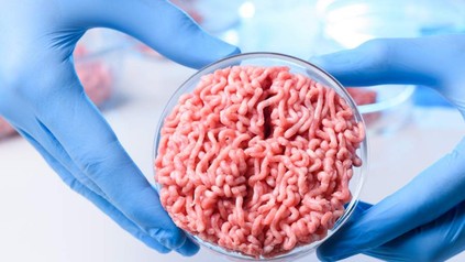 Eine Person hält eine Petri-Schale mit Hackfleisch