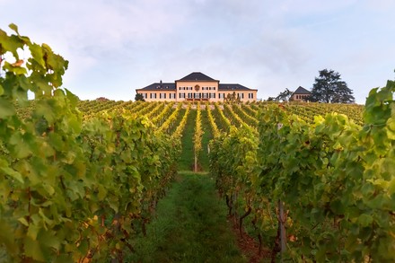 Weingut Schloss Johannisberg