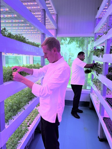 Die kürzlich von Arcadia eröffnete Hydrokultur-Farm (Foto: © Jumeirah Group)