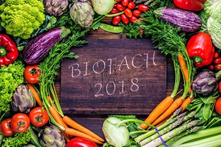 Ein Holzbrett auf dem BIOFACH 2018 steht umringt von frischem Gemüse