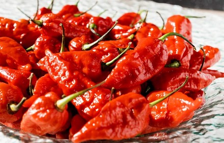 Ein Teller mit getrockneten Pepperoni