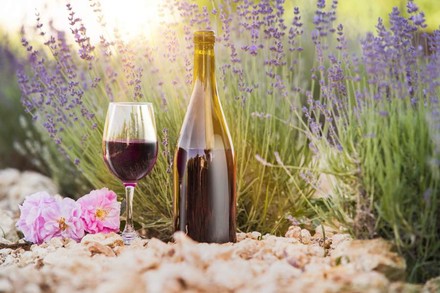 Eine Flasche und ein Glas gefüllt mit Wein stehen in der Natur