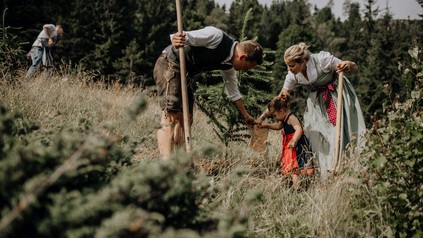 Projekt waldLIEBE