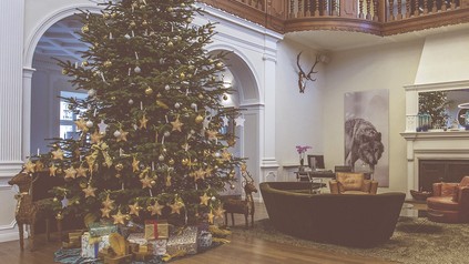 "Weihnachts-Wunsch-Baum-Aktion" im Schloss Fleesensee startet am 1. Advent.