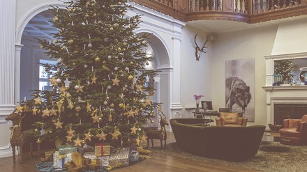 „Weihnachts-Wunsch-Baum-Aktion“ im Schloss Fleesensee startet am 1. Advent.