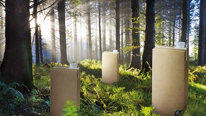 Einweg-Getränkekartons